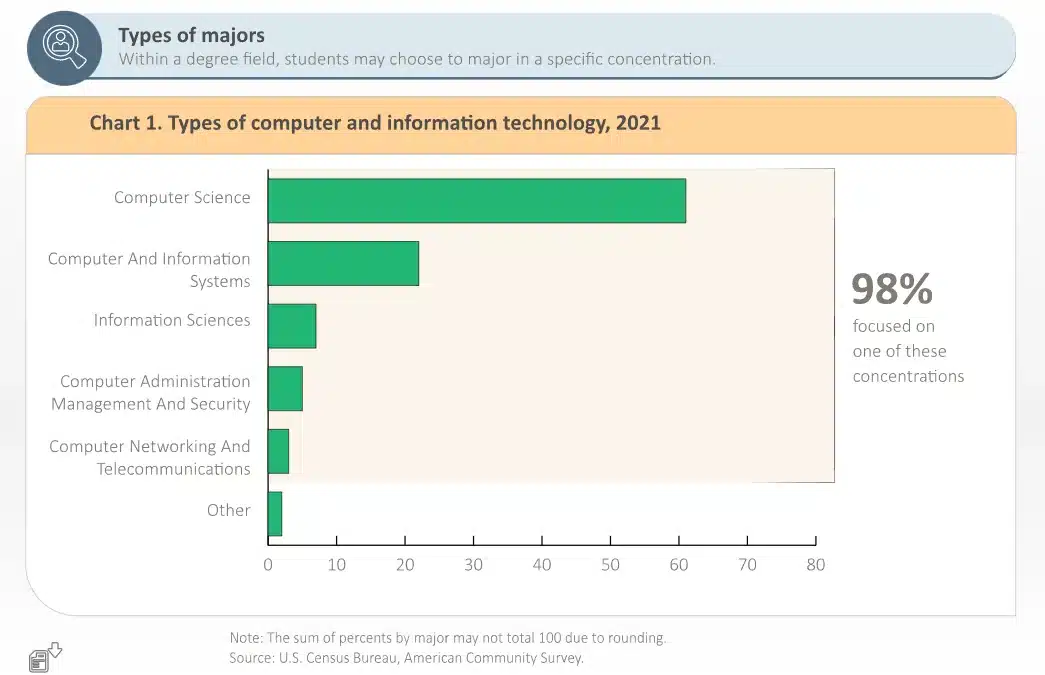 a graph which represent the percentage of types of majors in the field of information and technology