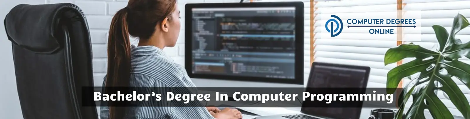 Bachelor’s Degree In Computer Programming